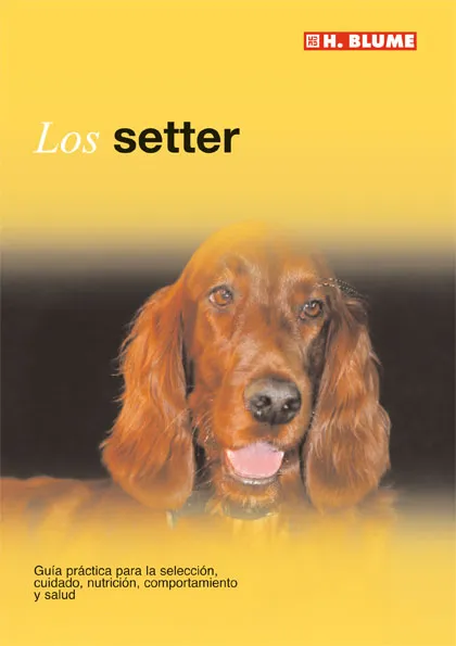 SETTER,LOS