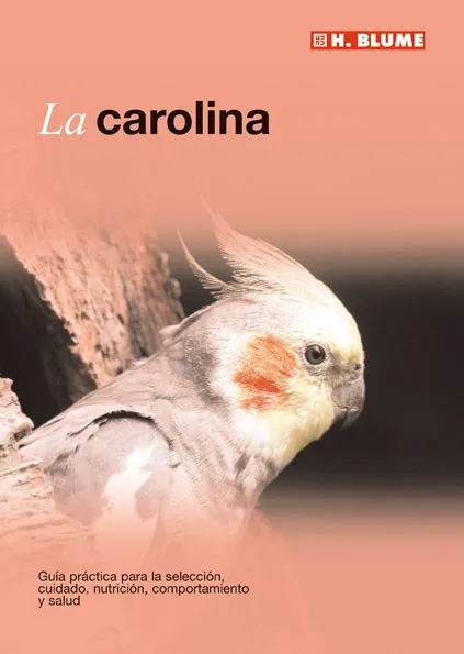 CAROLINA,LA