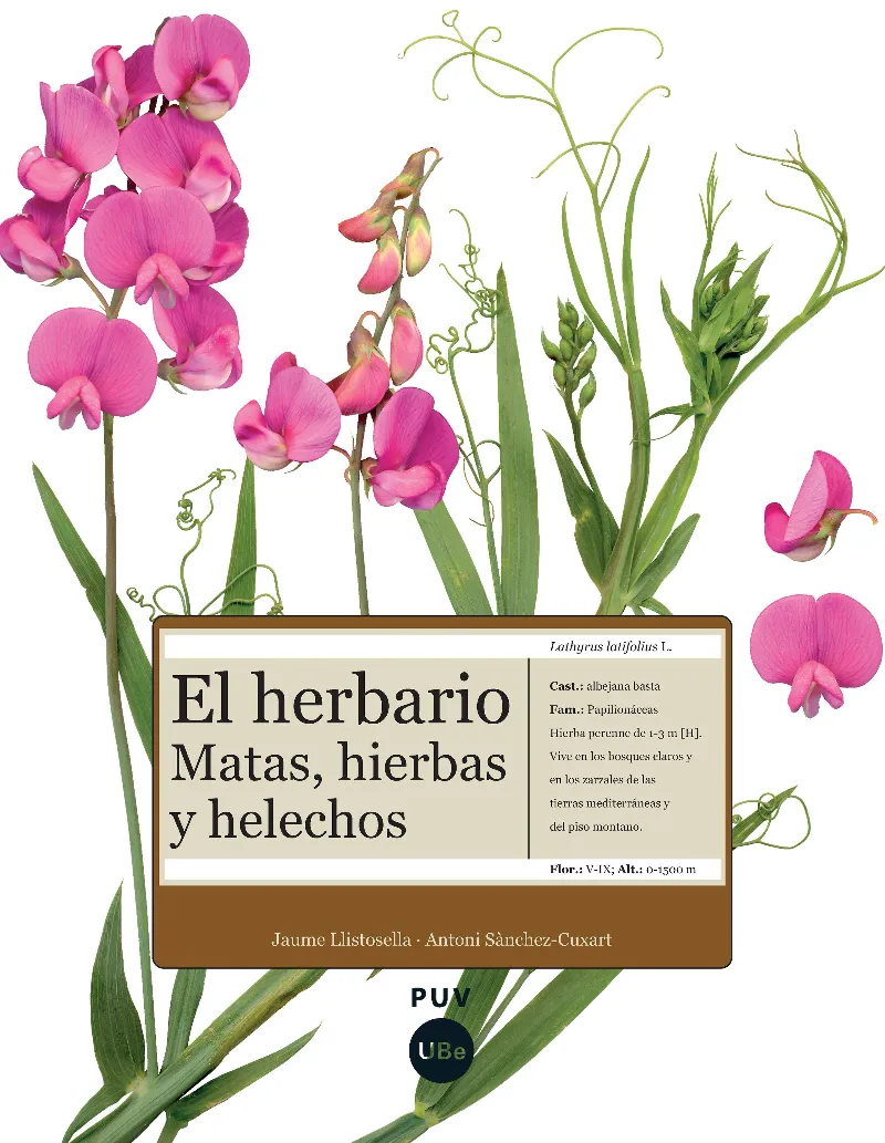 HERBARIO,EL