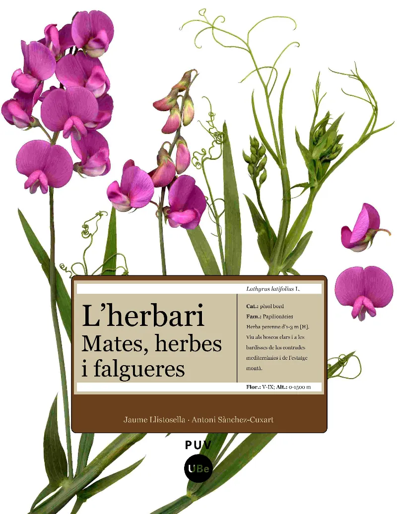 HERBARI, L' -MATES HERBES I FALGUERES-