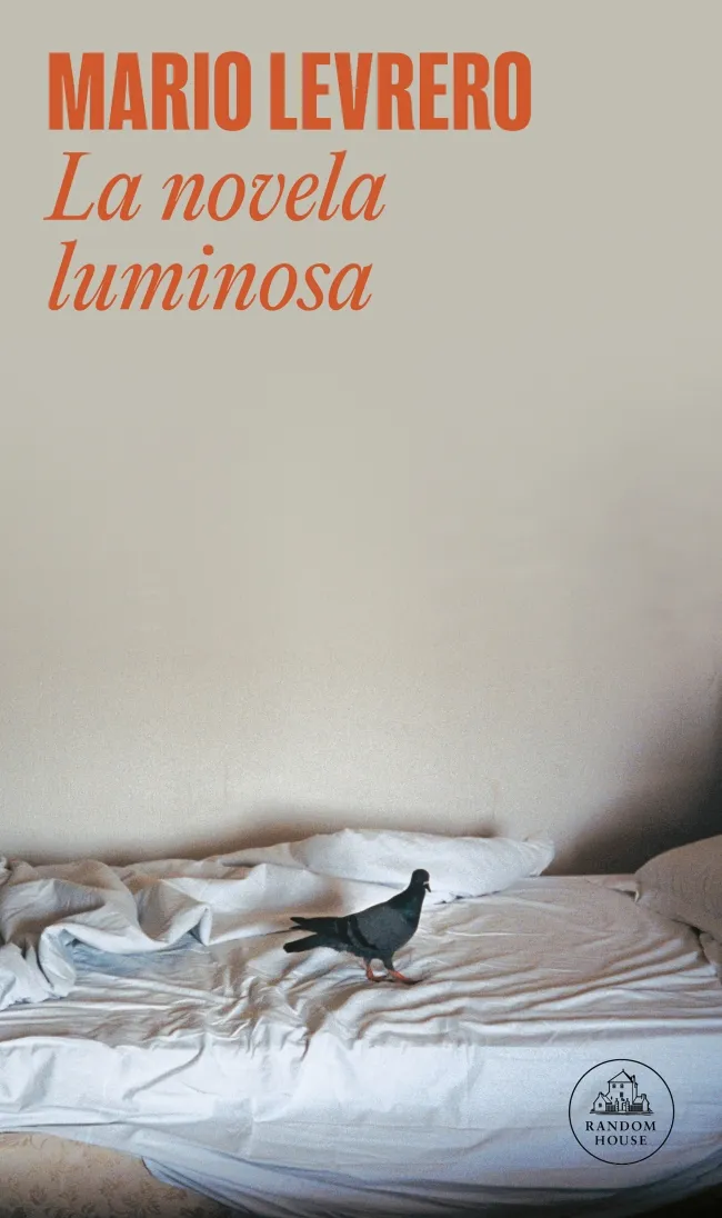 NOVELA LUMINOSA,LA