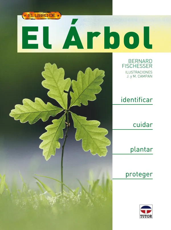 ARBOL,EL