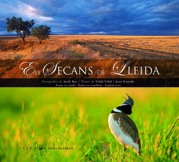 SECANS DE LLEIDA, ELS