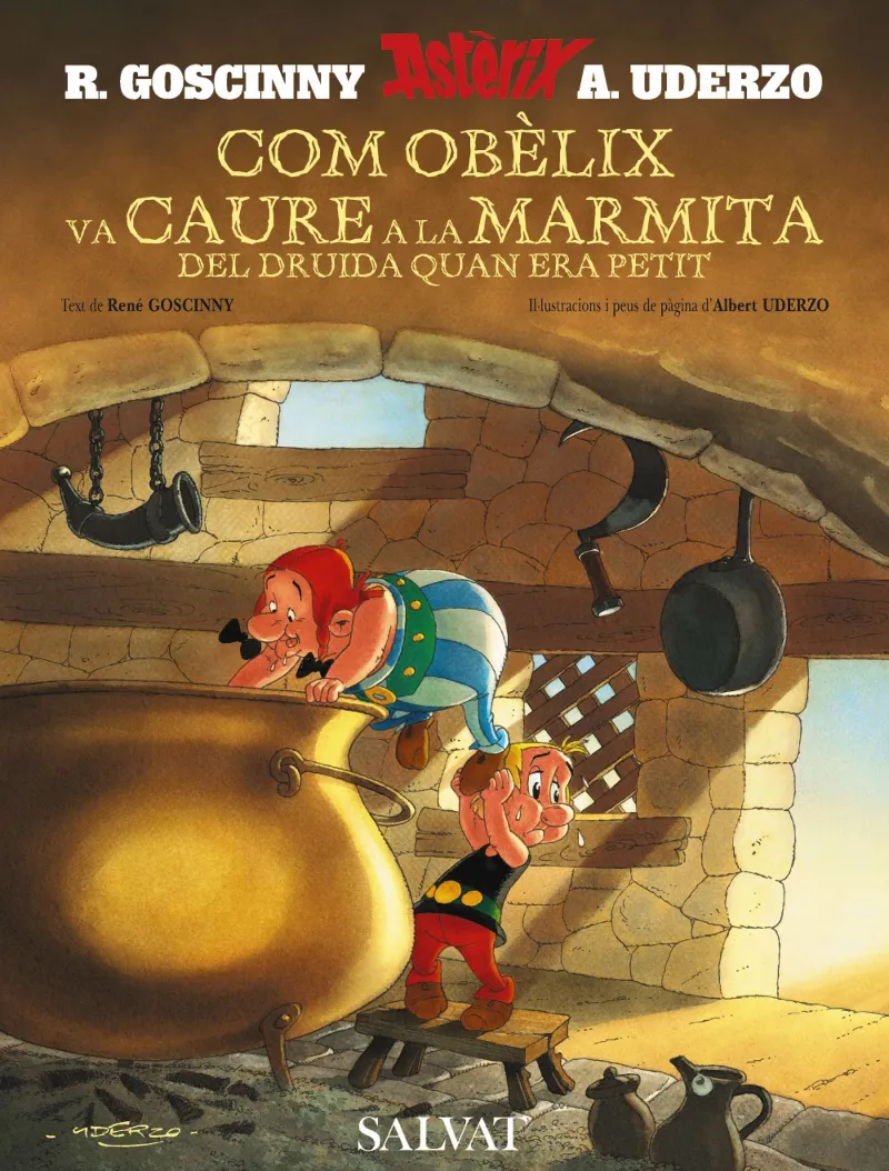 COM OBELIX VA CAURE A LA MARMITA DEL DRUIDA QUAN
