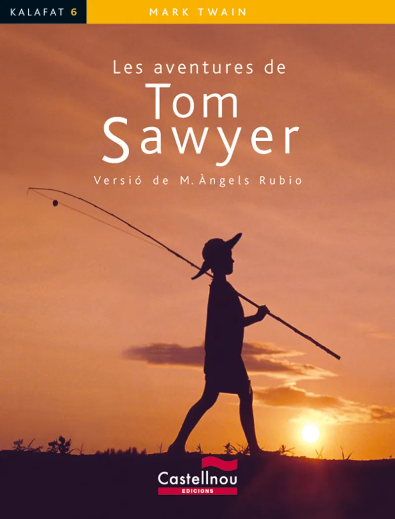 AVENTURES DE TOM SAWYER,LES