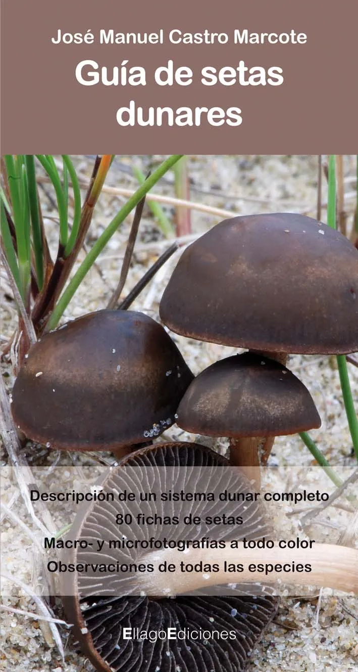 GUIA DE SETAS DUNARES