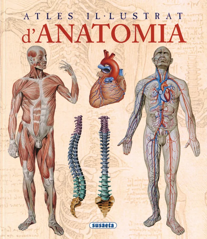 ANATOMIA -ATLES ILUSTRAT D'-