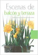 ESCENAS DE BALCON Y TERRAZA