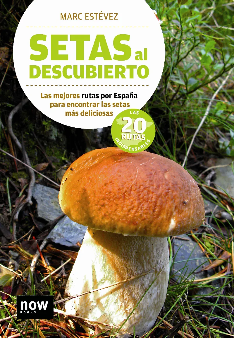SETAS AL DESCUBIERTO