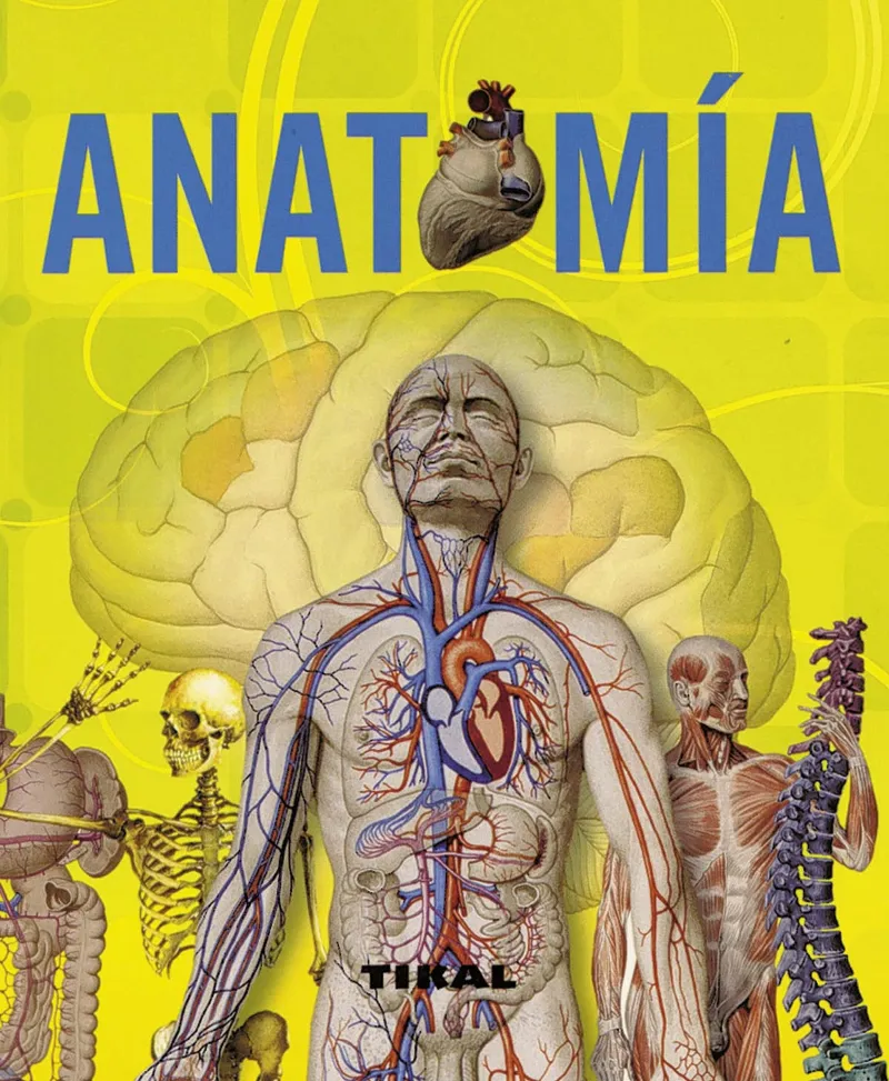 ANATOMIA