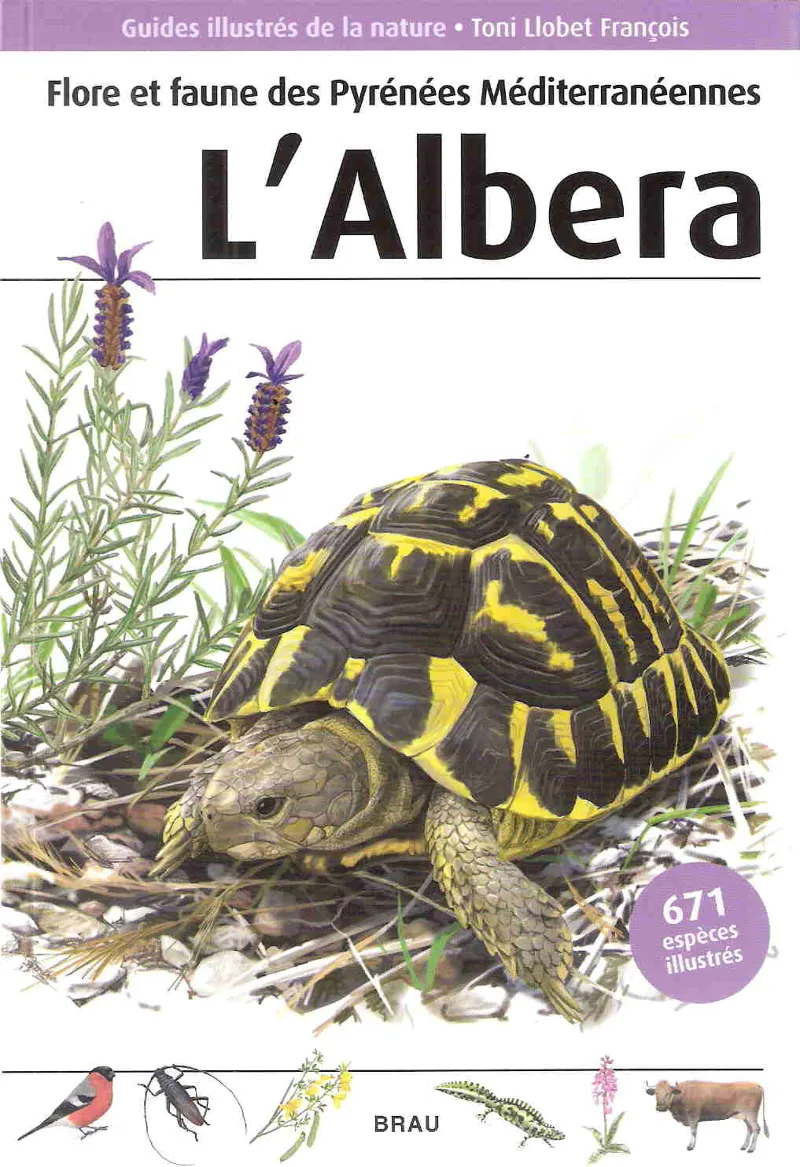 ALBERA,L' -EN FRANCES-