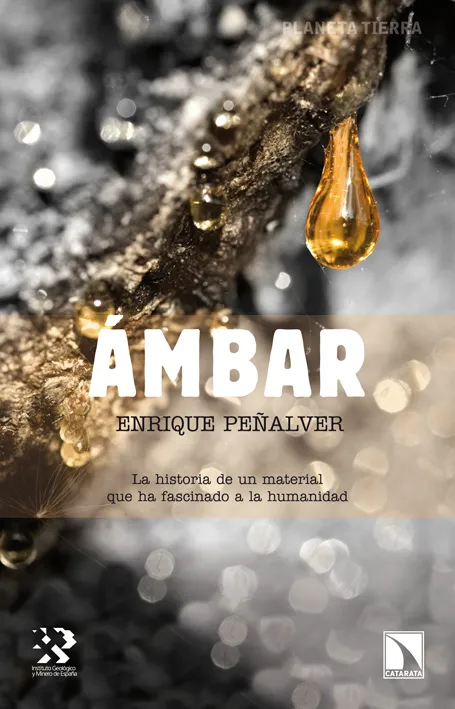 AMBAR -HISTORIA DE UN MATERIAL QUE HA FASCINADO