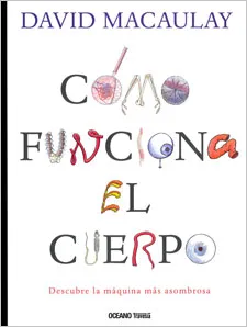 Cómo funciona el cuerpo