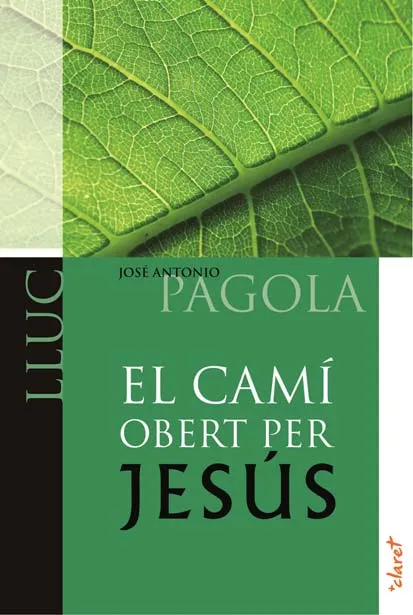 CAMI OBERT PER JESUS,EL -LLUC-