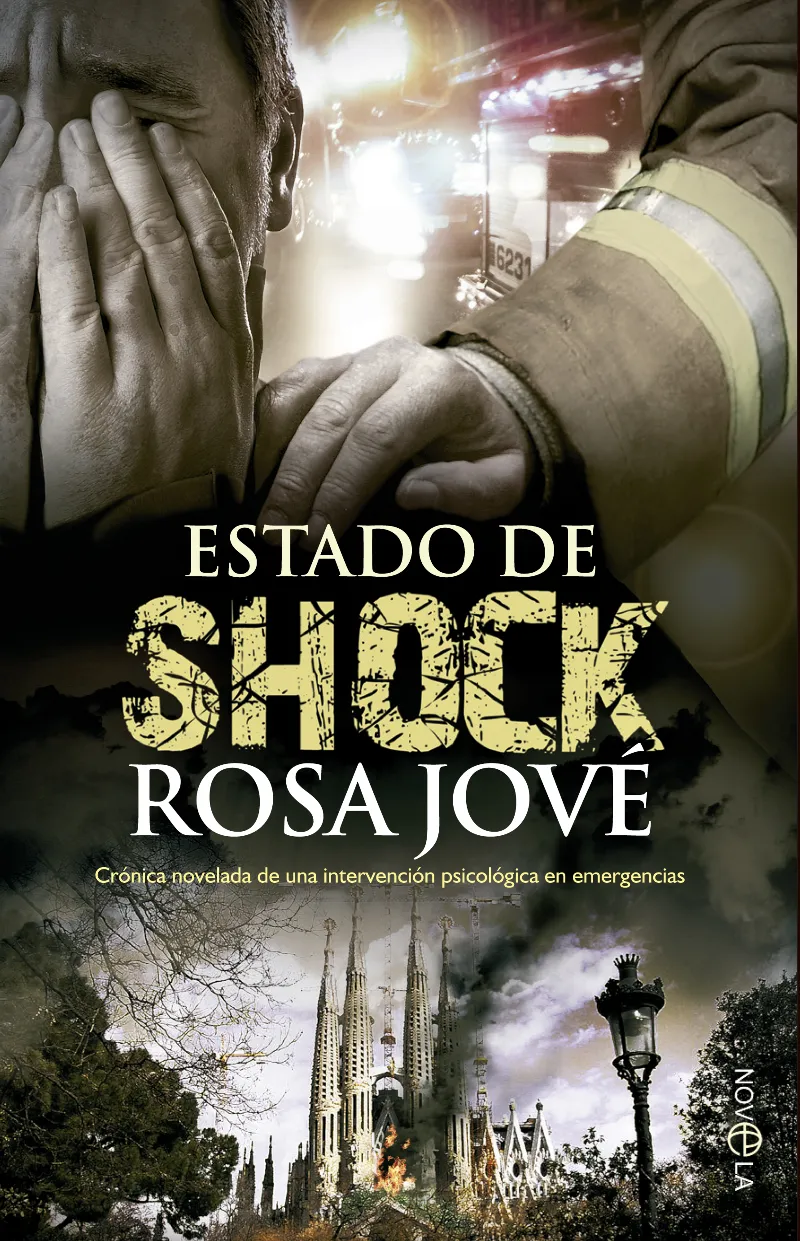 ESTADO DE SHOCK -CRONICA NOVELADA-