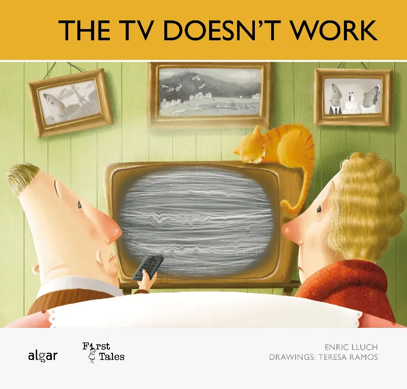 THE TV DOES NOT WORK