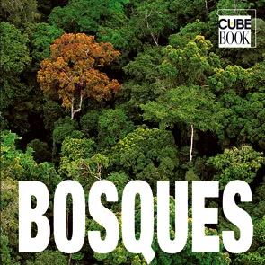 BOSQUES