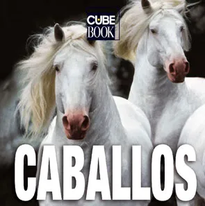 CABALLOS