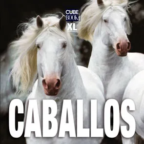 CABALLOS