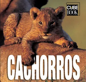 CACHORROS