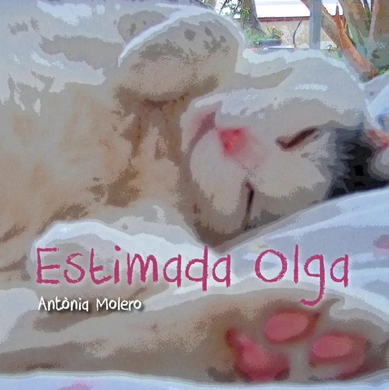 ESTIMADA OLGA