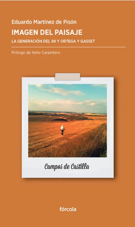 IMAGEN DEL PAISAJE -CAMPOS DE CASTILLA-