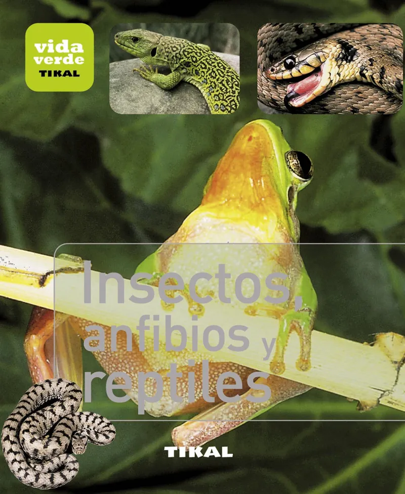 INSECTOS ANFIBIOS Y REPTILES