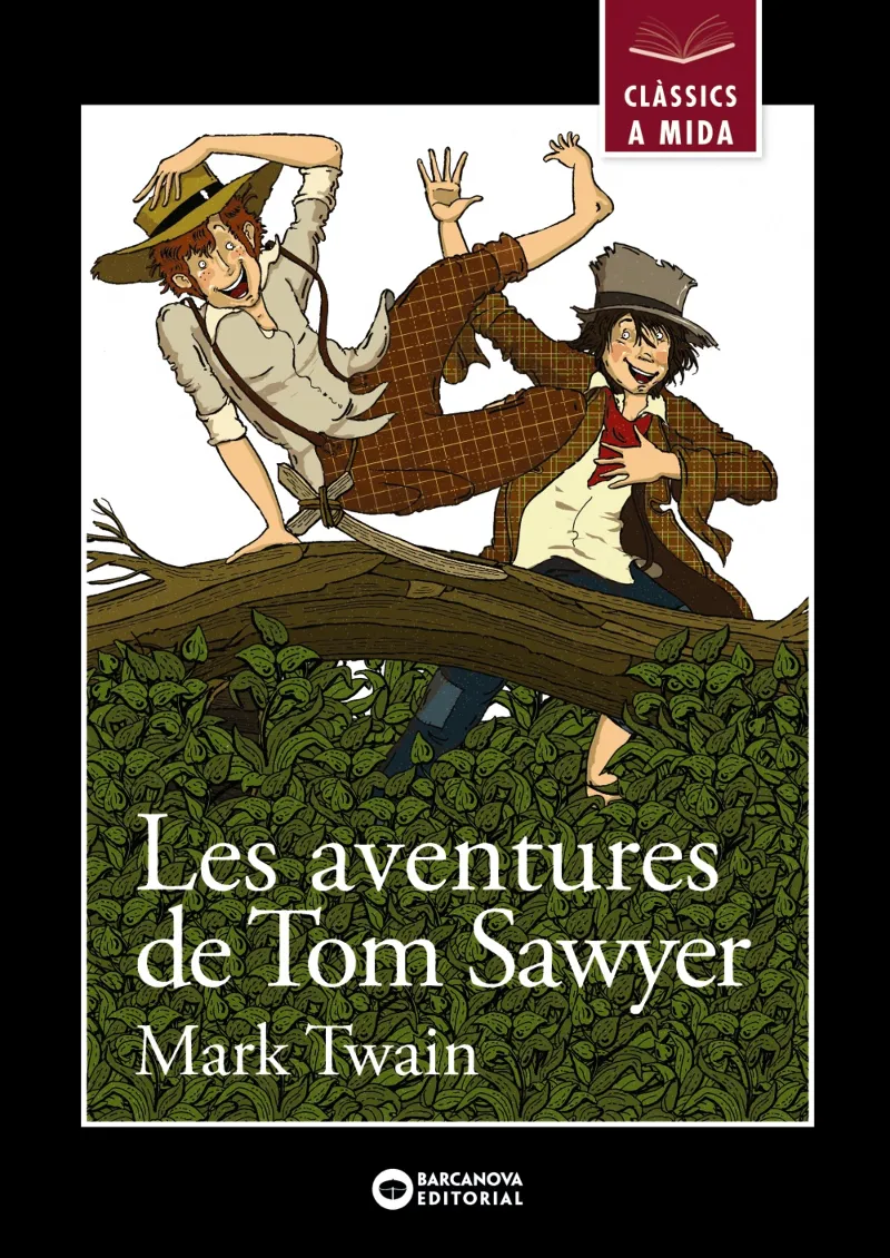 AVENTURES DE TOM SAWYER, LES