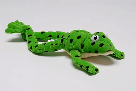 RWI FRED THE FROG