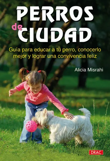 PERROS DE CIUDAD