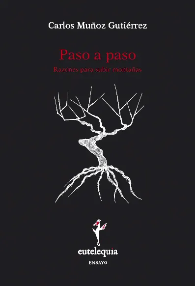 PASO A PASO -RAZONES PARA SUBIR MONTAÑAS-
