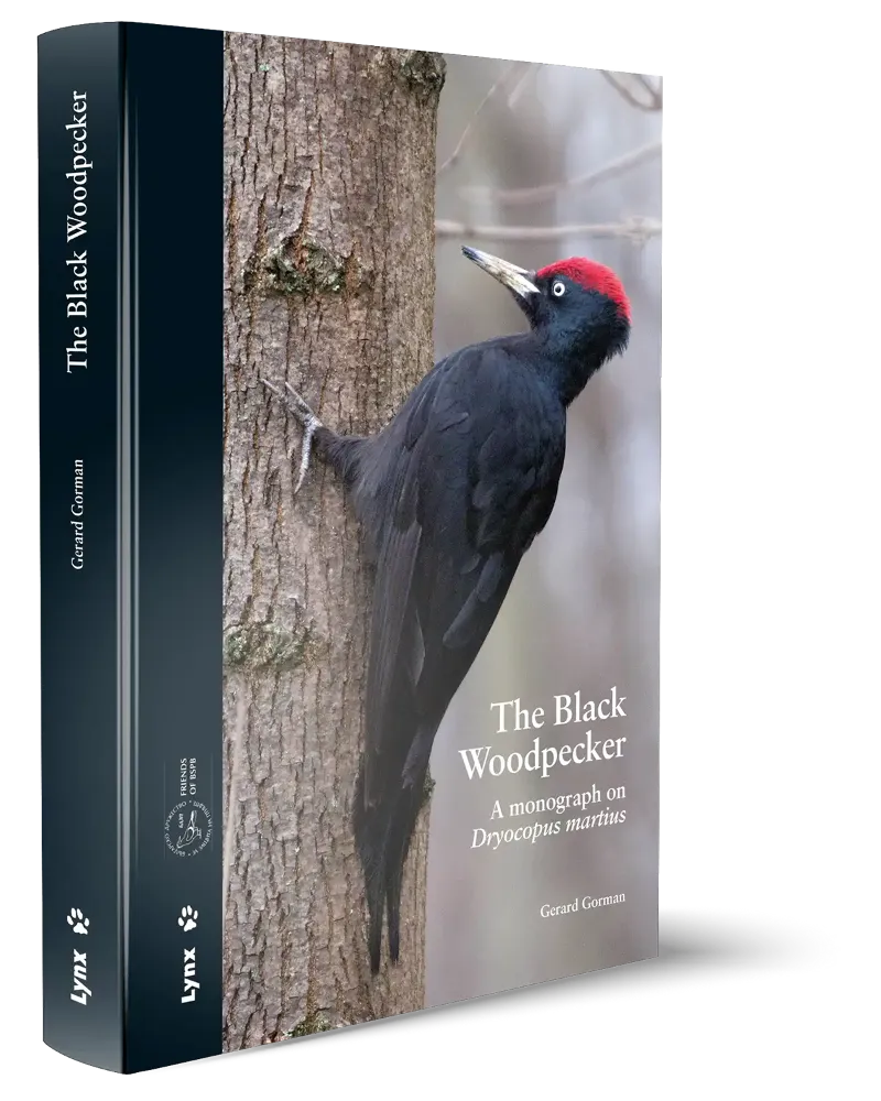 BLACK WOODPECKER,THE