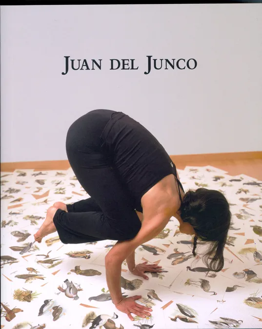 JUAN DEL JUNCO