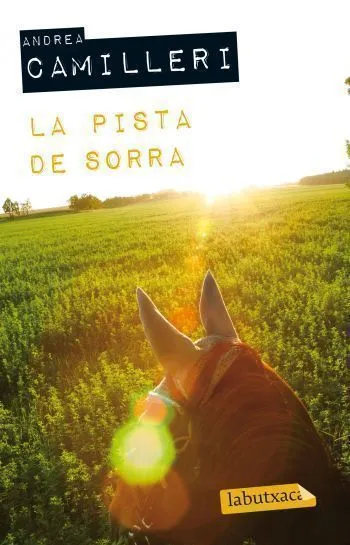 La pista de sorra