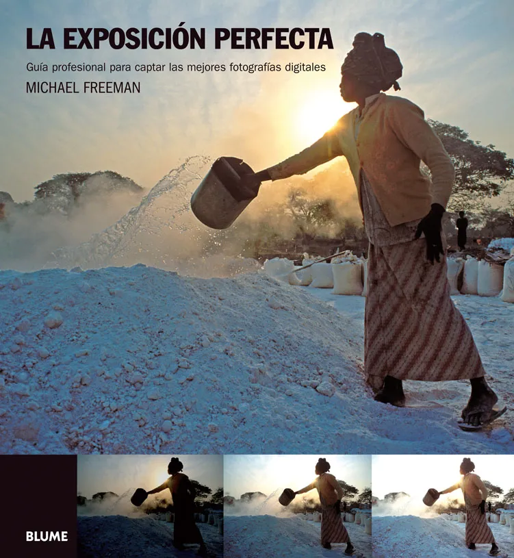 EXPOSICION PERFECTA,LA