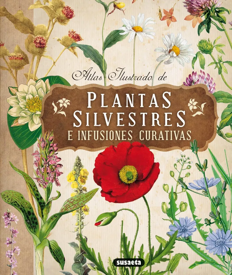 ATLAS ILUSTRADO DE PLANTAS SILVESTRES E INFUSIONES