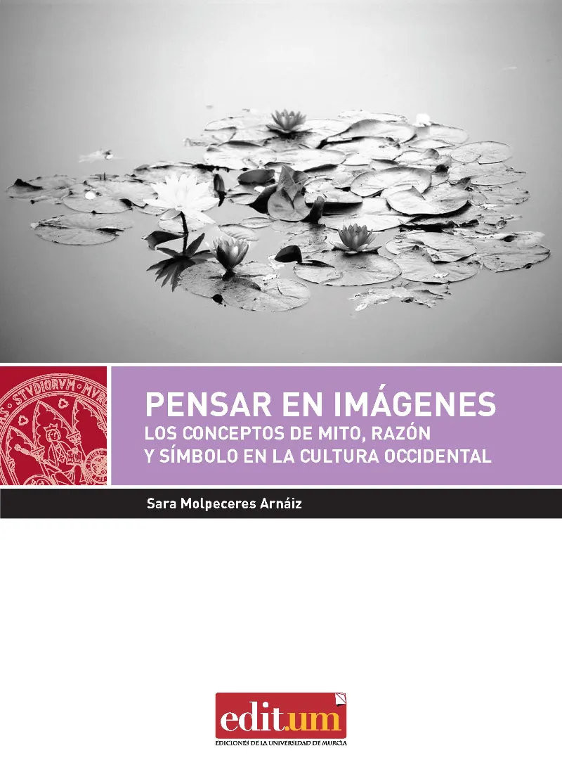PENSAR EN IMAGENES