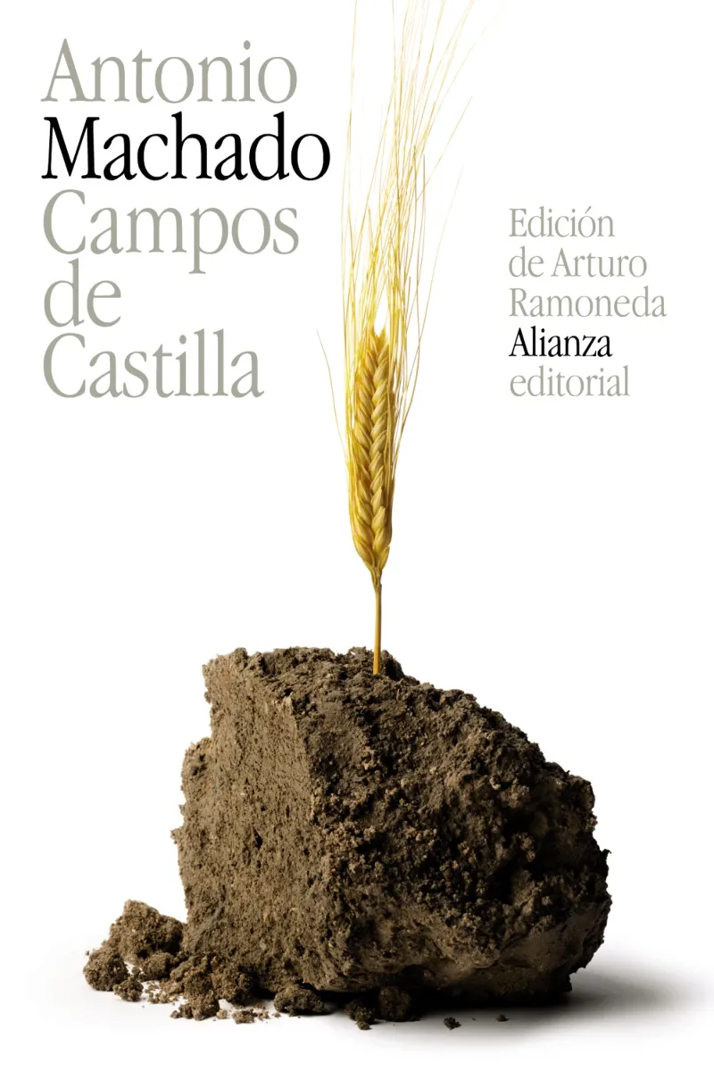 CAMPOS DE CASTILLA -BOLSILLO-