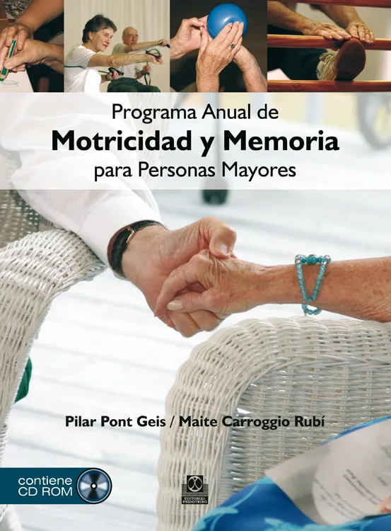 PROGRAMA ANUAL DE MOTRICIDAD Y MEMORIA PARA PERSON