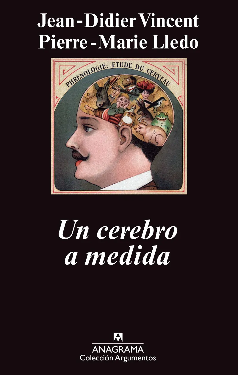 CEREBRO A MEDIDA,UN