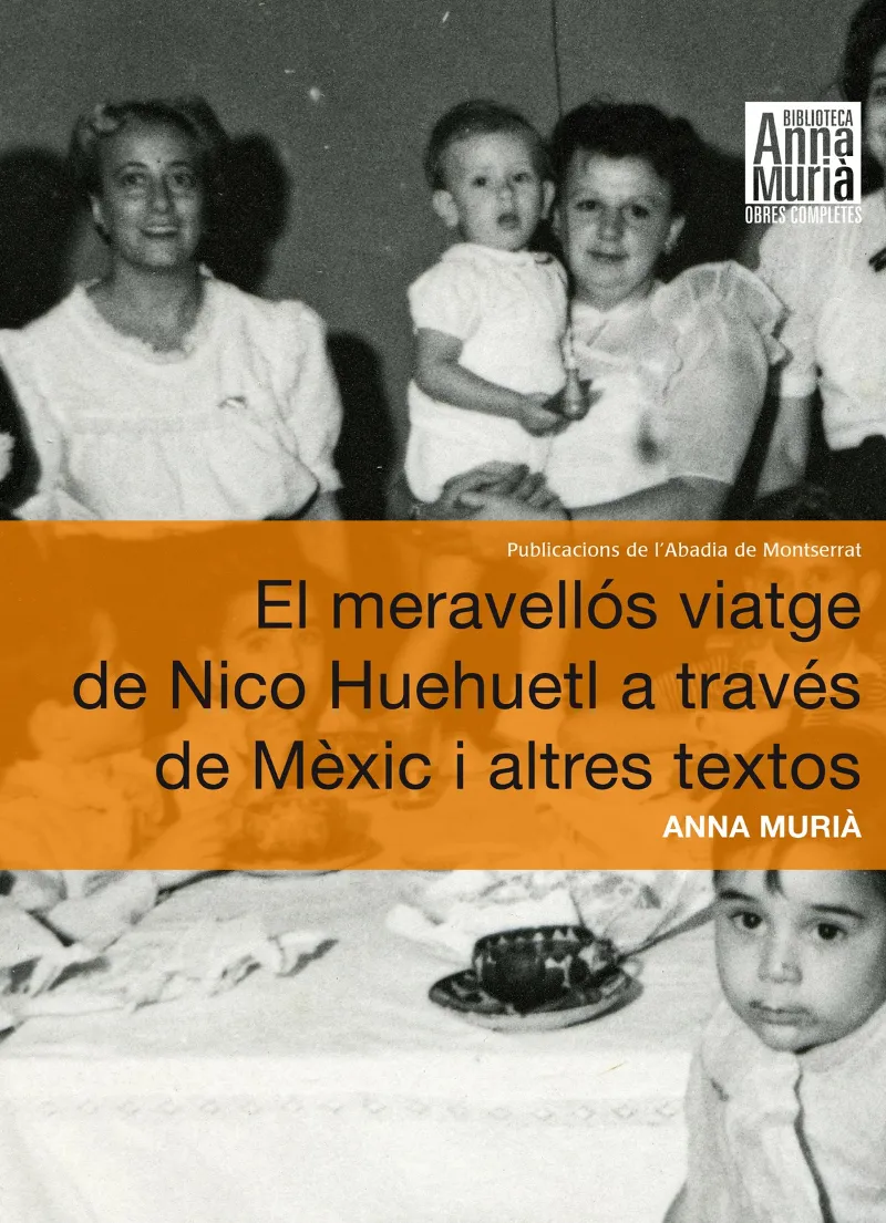 MERAVELLOS VIATGE DE NICO HUEHUETL A TRAVES DE