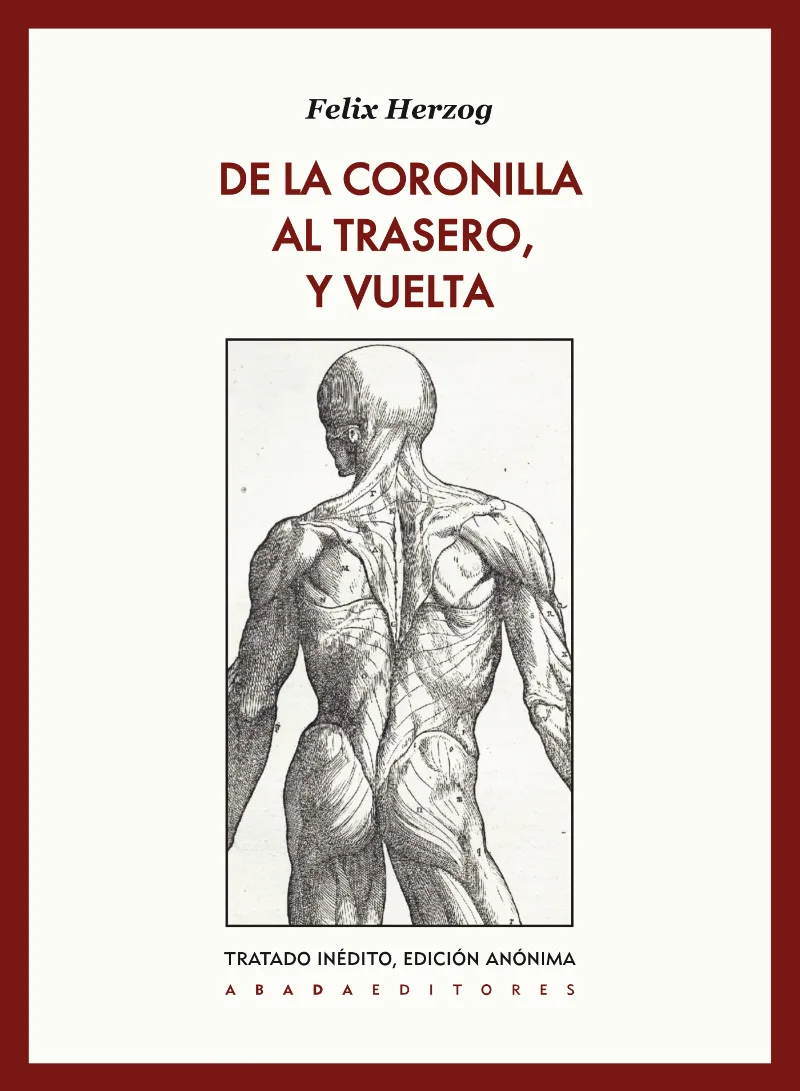 DE LA CORONILLA AL TRASERO Y VUELTA