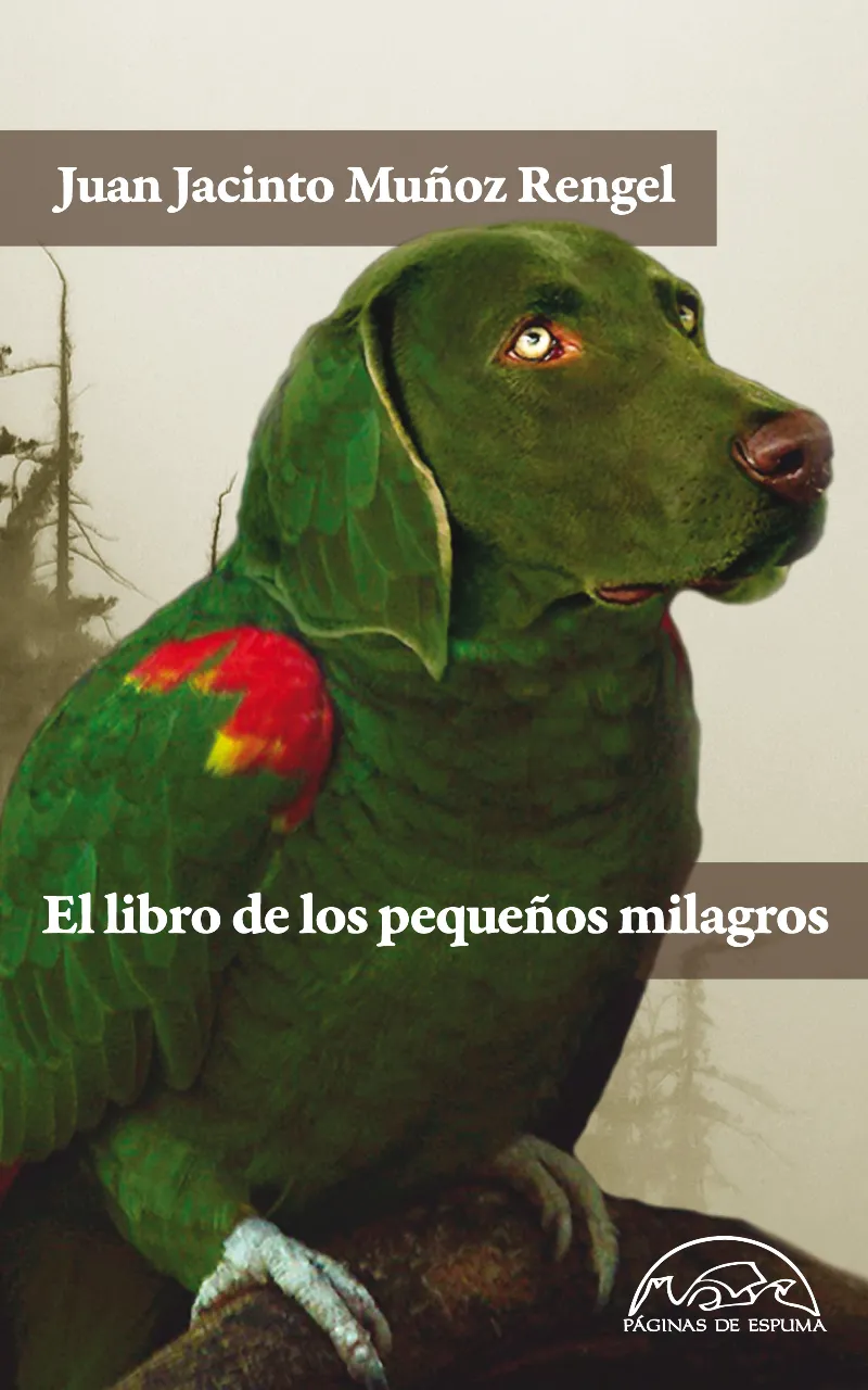 LIBRO DE LOS PEQUEÑOS MILAGROS,EL