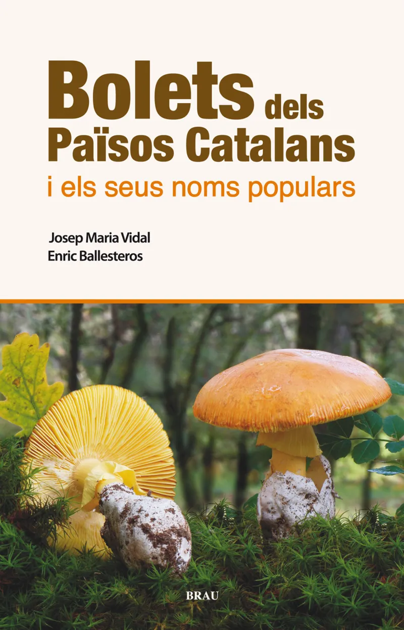 BOLETS DELS PAISOS CATALANS I ELS SEUS NOMS POPULARS