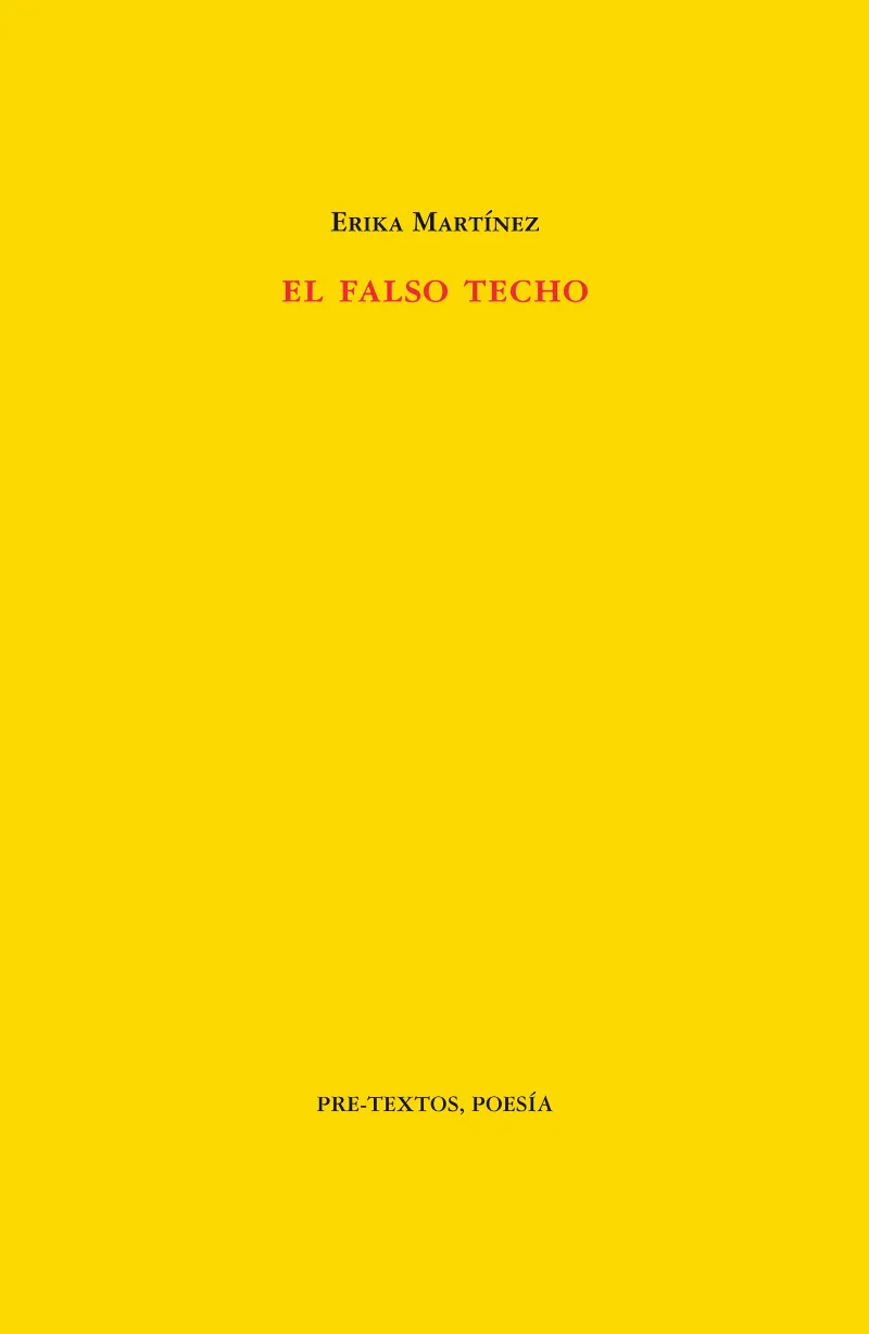 FALSO TECHO,EL