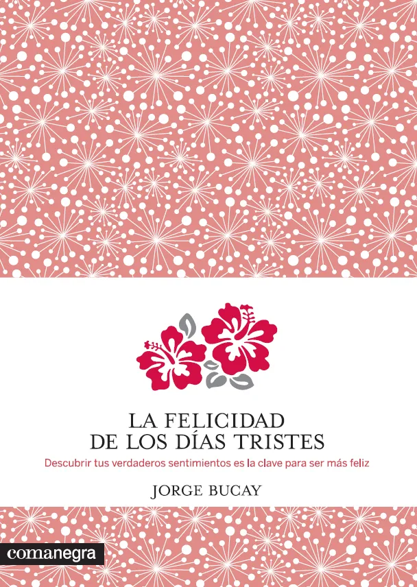 FELICIDAD DE LOS DIAS TRISTES,LA