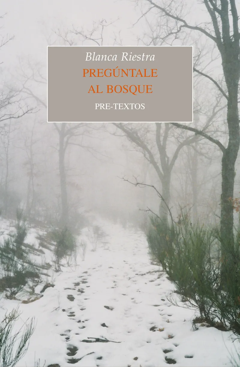 PREGUNTALE AL BOSQUE -PREMIO NACIONAL DE NOVELA