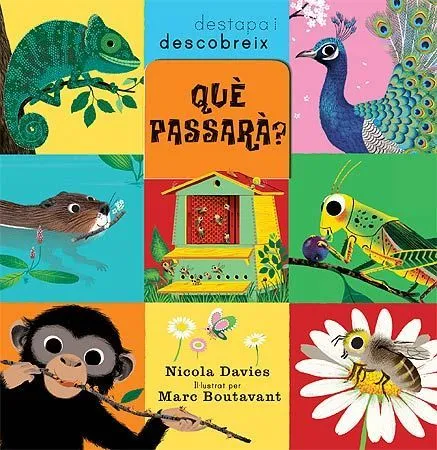 QUE PASSARA -DESTAPA I DESCOBREIX-