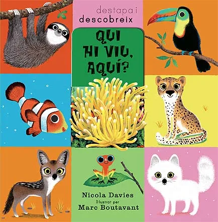 QUI HI VIU AQUI -DESTAPA I DESCOBREIX-