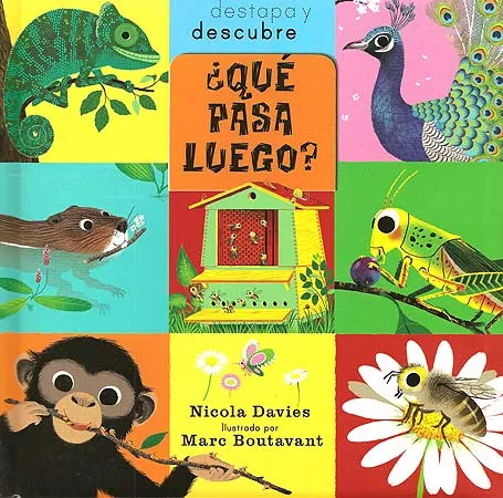 QUE PASA LUEGO -DESTAPA Y DESCUBRE-